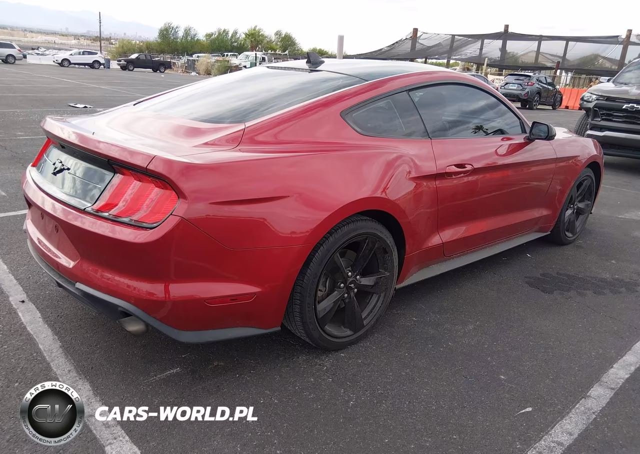 2022 Ford Mustang Ecoboost Fastback VIN:1FA6P8TH8N5133191 - 4