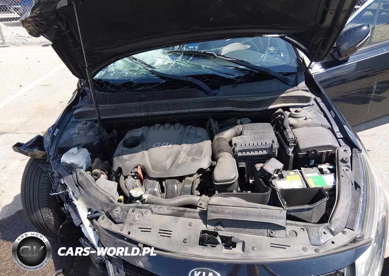 2014 Kia Optima Ex VIN:5XXGN4A74EG341796 - 10