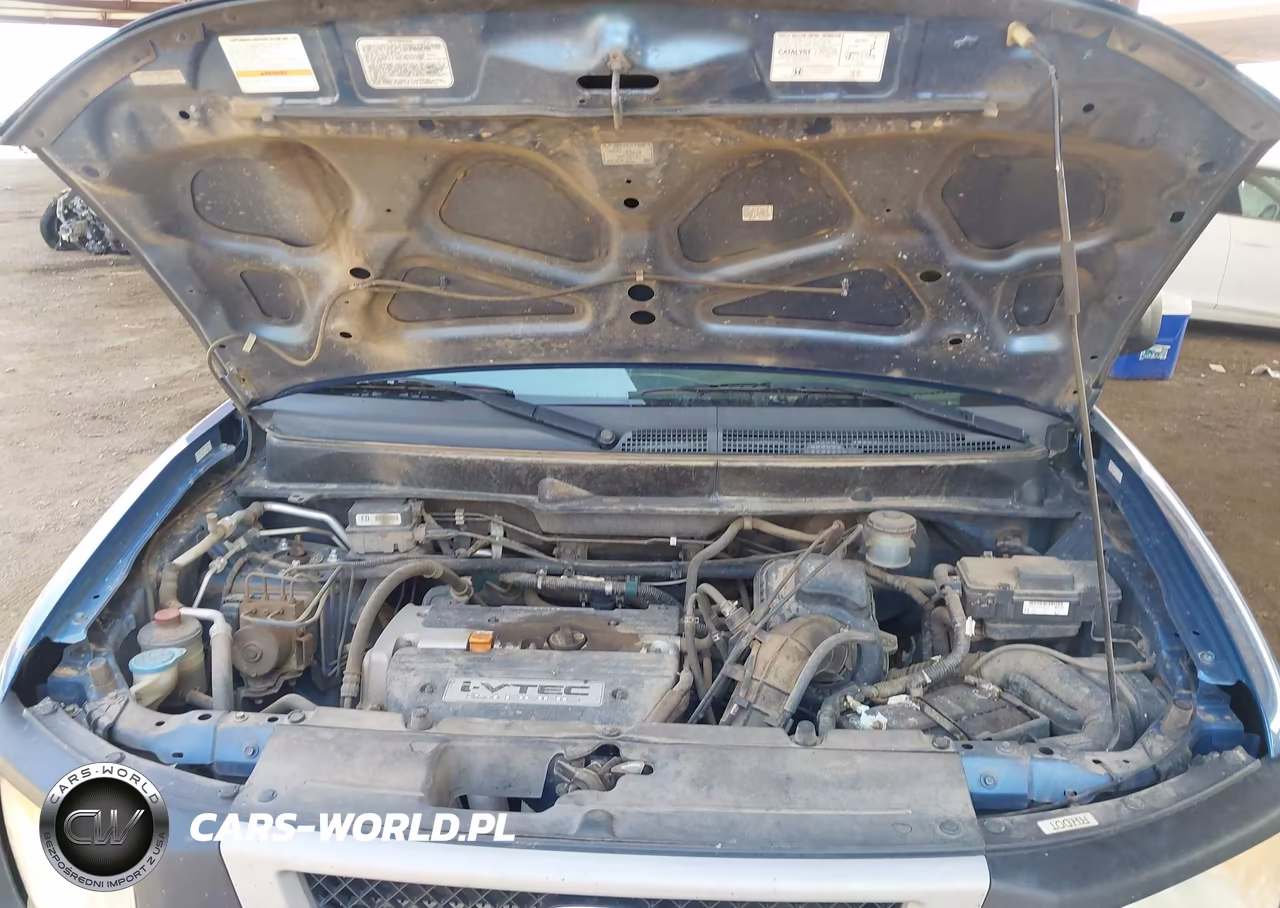 2006 Honda Element Lx VIN:5J6YH28306L016982 - 10