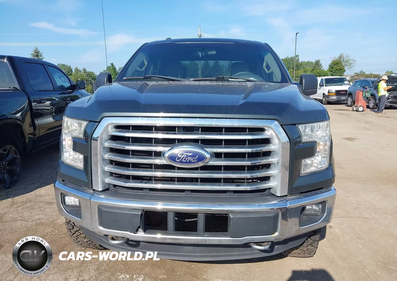 2015 Ford F-150 Xlt VIN:1FTFW1EF3FFB49603 - 12