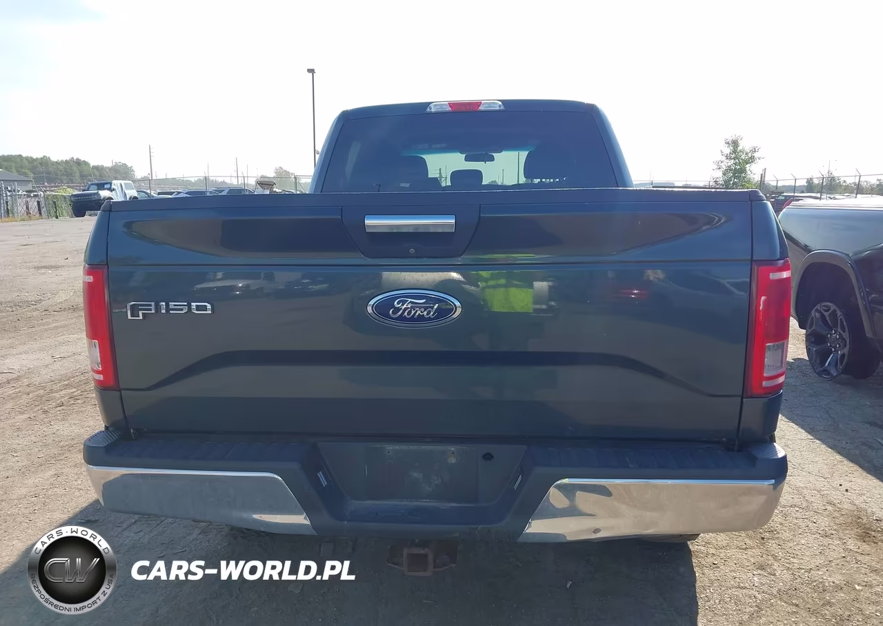 2015 Ford F-150 Xlt VIN:1FTFW1EF3FFB49603 - 16