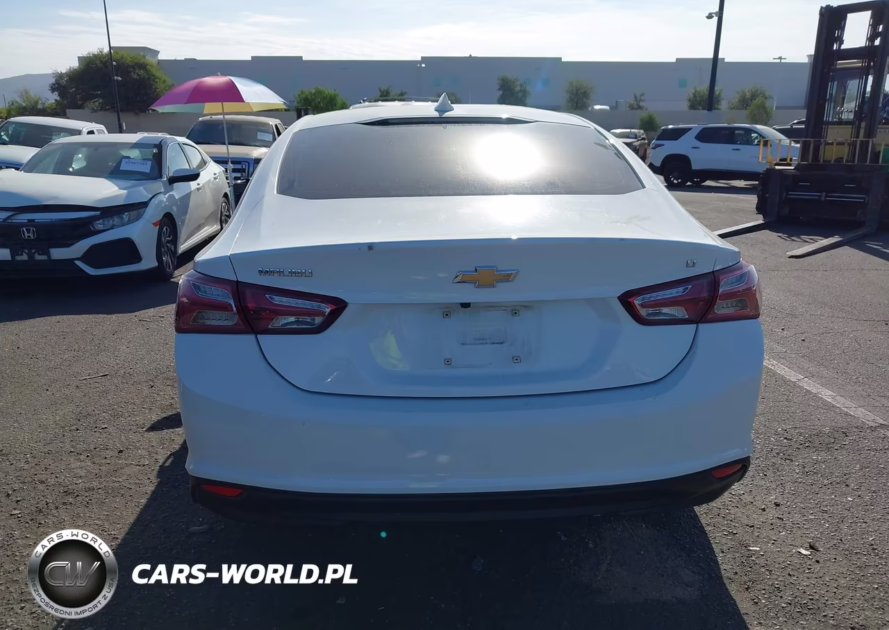 2022 Chevrolet Malibu Fwd Lt VIN:1G1ZD5ST8NF161161 - 16