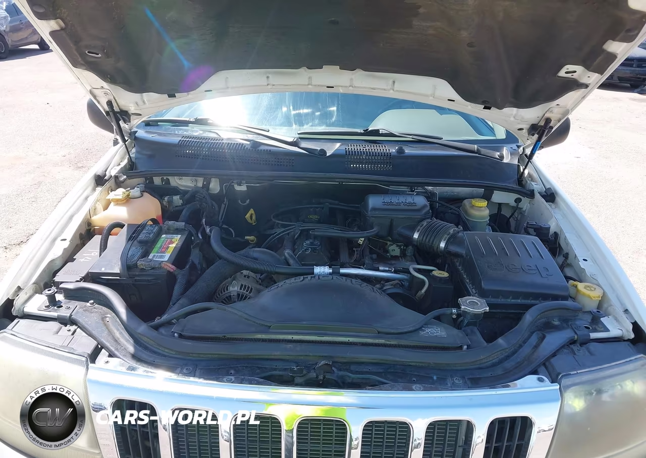 2003 Jeep Grand Cherokee Laredo VIN:1J4GX48S23C601205 - 10