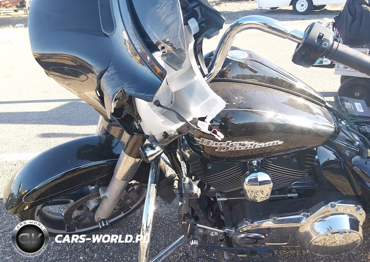 2015 Harley-Davidson Flhxs Street Glide Special VIN:1HD1KRM18FB636196 - 17