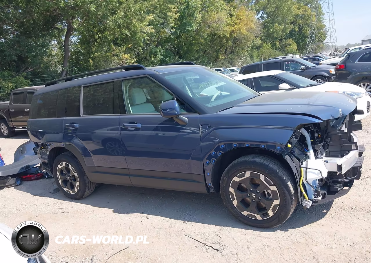 2026 Hyundai Santa Fe Sel VIN:5NMP2DGL1TH217819 - 14