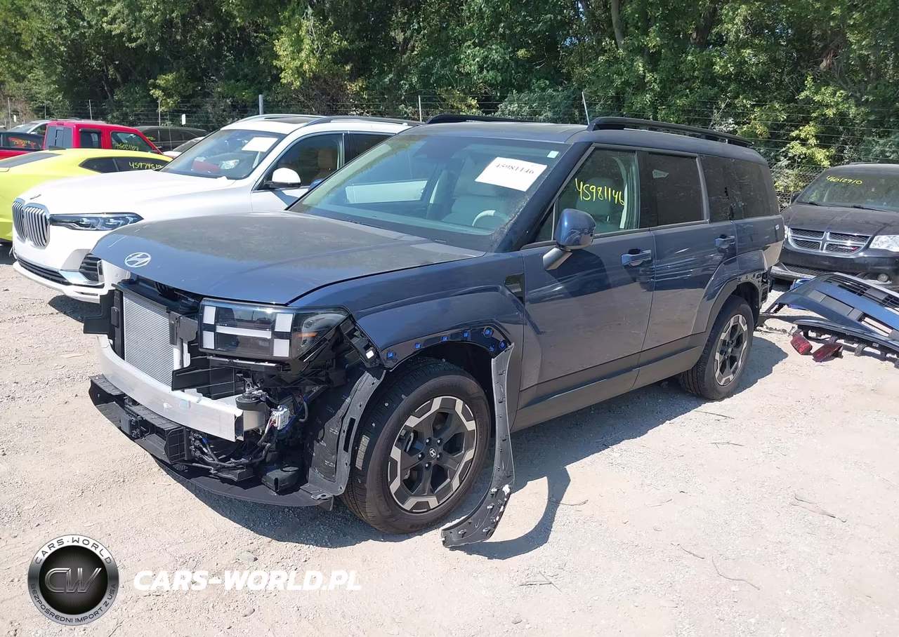 2026 Hyundai Santa Fe Sel VIN:5NMP2DGL1TH217819 - 2