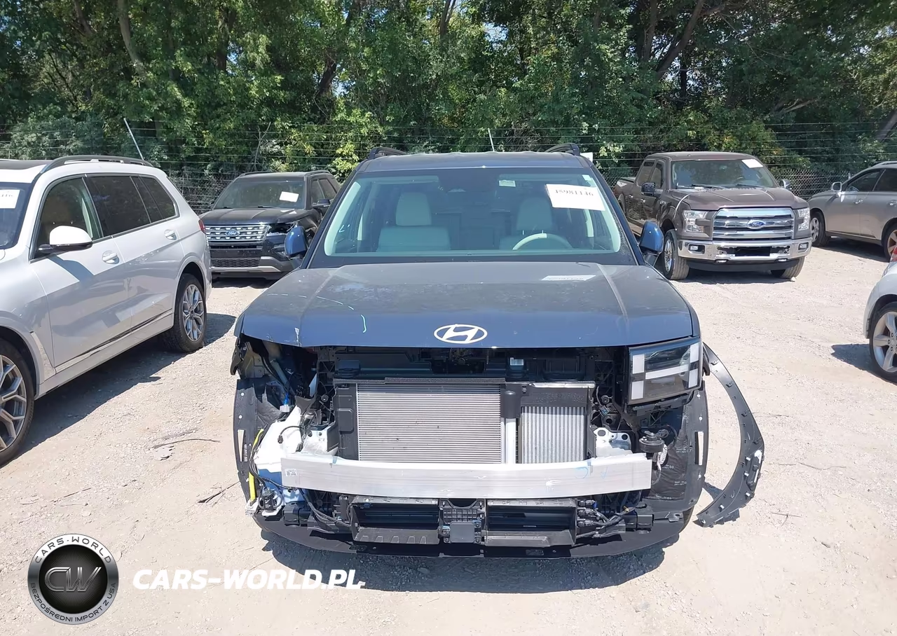 2026 Hyundai Santa Fe Sel VIN:5NMP2DGL1TH217819 - 6