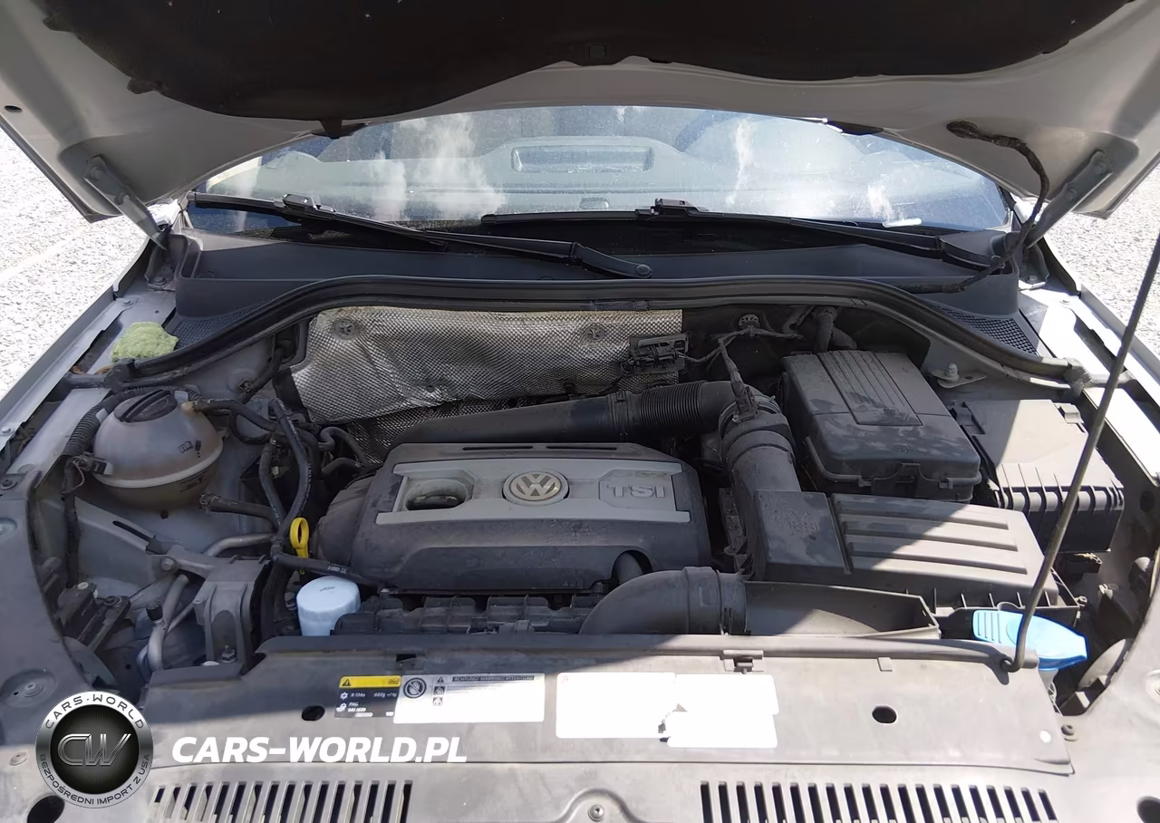 2014 Volkswagen Tiguan Sel VIN:WVGBV3AX1EW556020 - 10