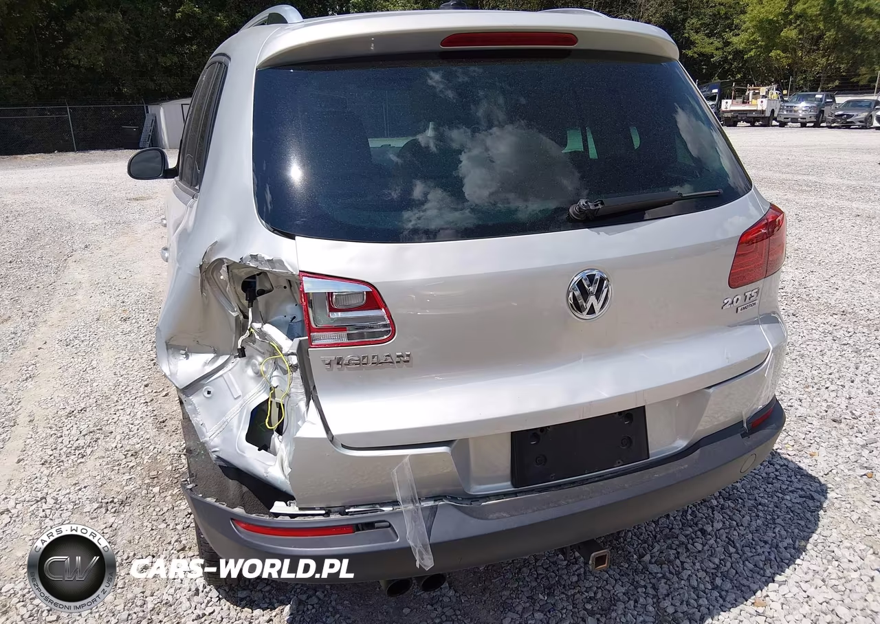 2014 Volkswagen Tiguan Sel VIN:WVGBV3AX1EW556020 - 12