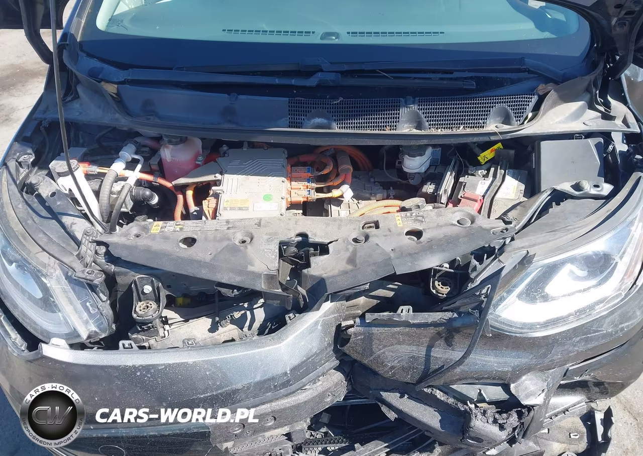 2019 Chevrolet Bolt Ev Lt VIN:1G1FY6S04K4143167 - 10