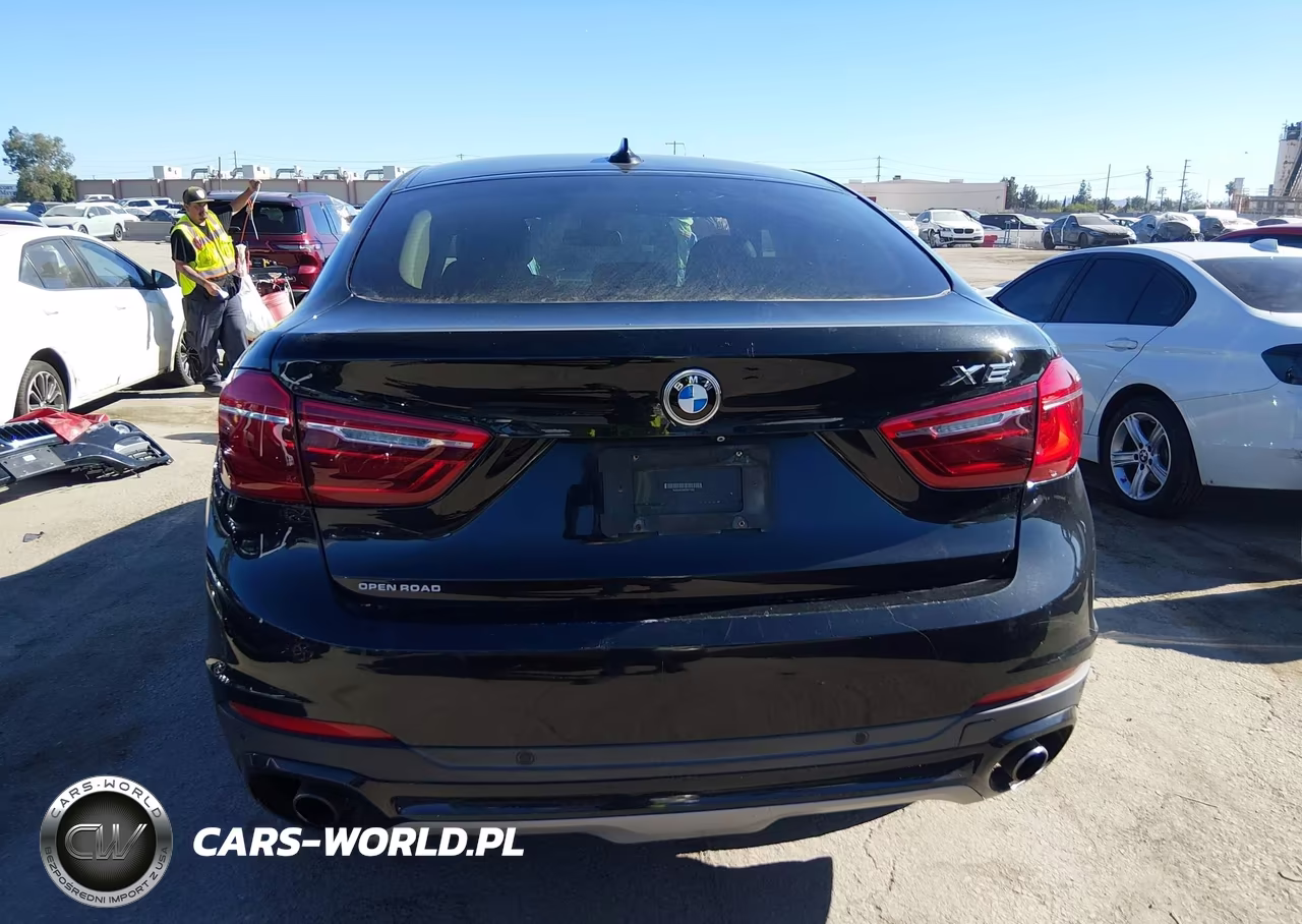2015 BMW X6 xDrive35I VIN:5UXKU2C54F0N77332 - 17