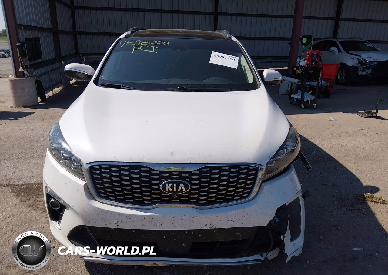2019 Kia Sorento 3.3L Sx VIN:5XYPK4A56KG594617 - 13