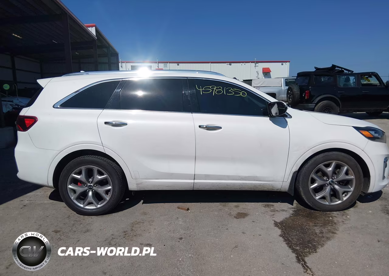 2019 Kia Sorento 3.3L Sx VIN:5XYPK4A56KG594617 - 14