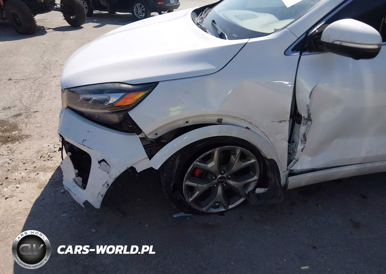 2019 Kia Sorento 3.3L Sx VIN:5XYPK4A56KG594617 - 6