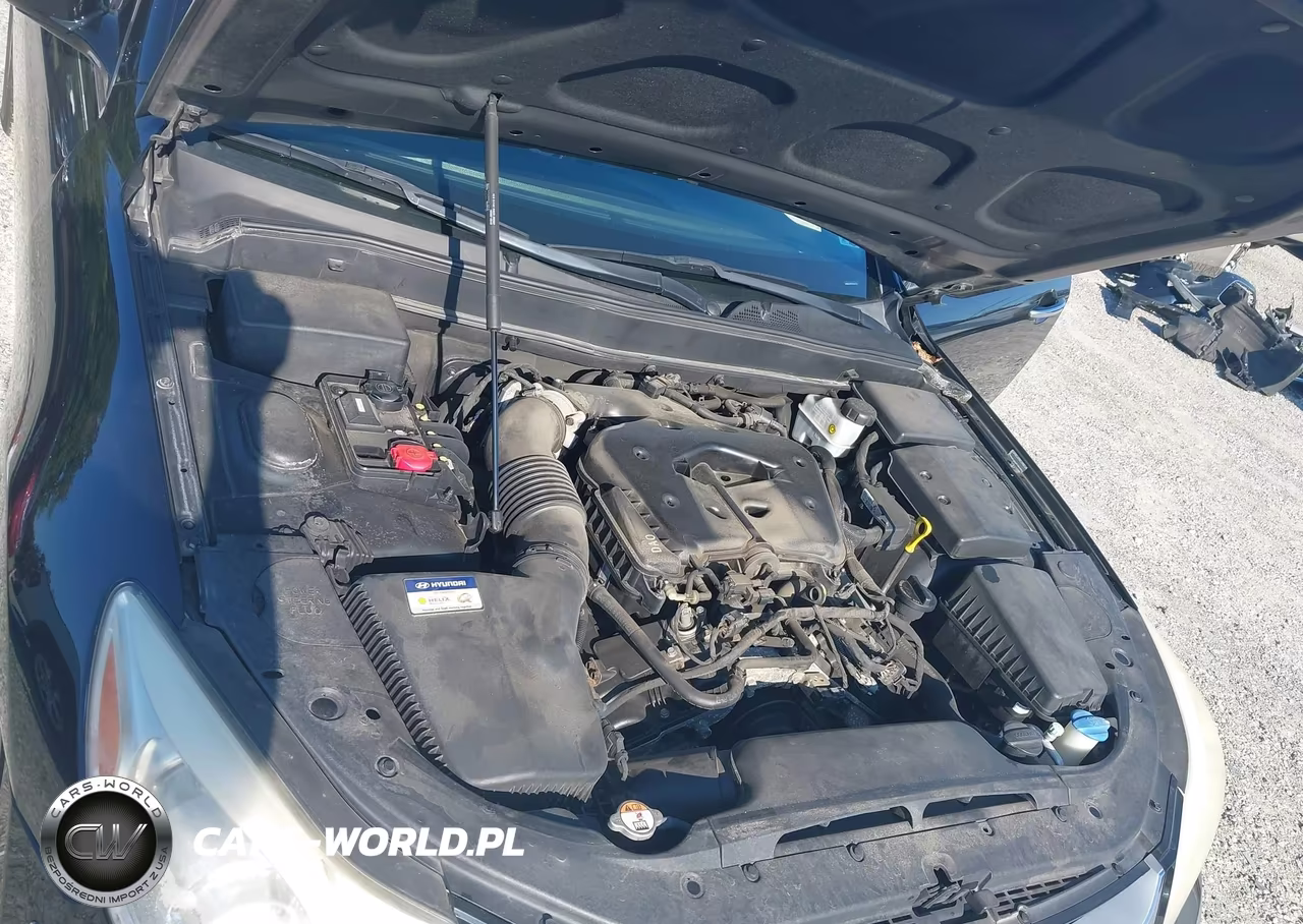 2014 Hyundai Genesis 3.8 VIN:KMHGC4DD5EU261579 - 10