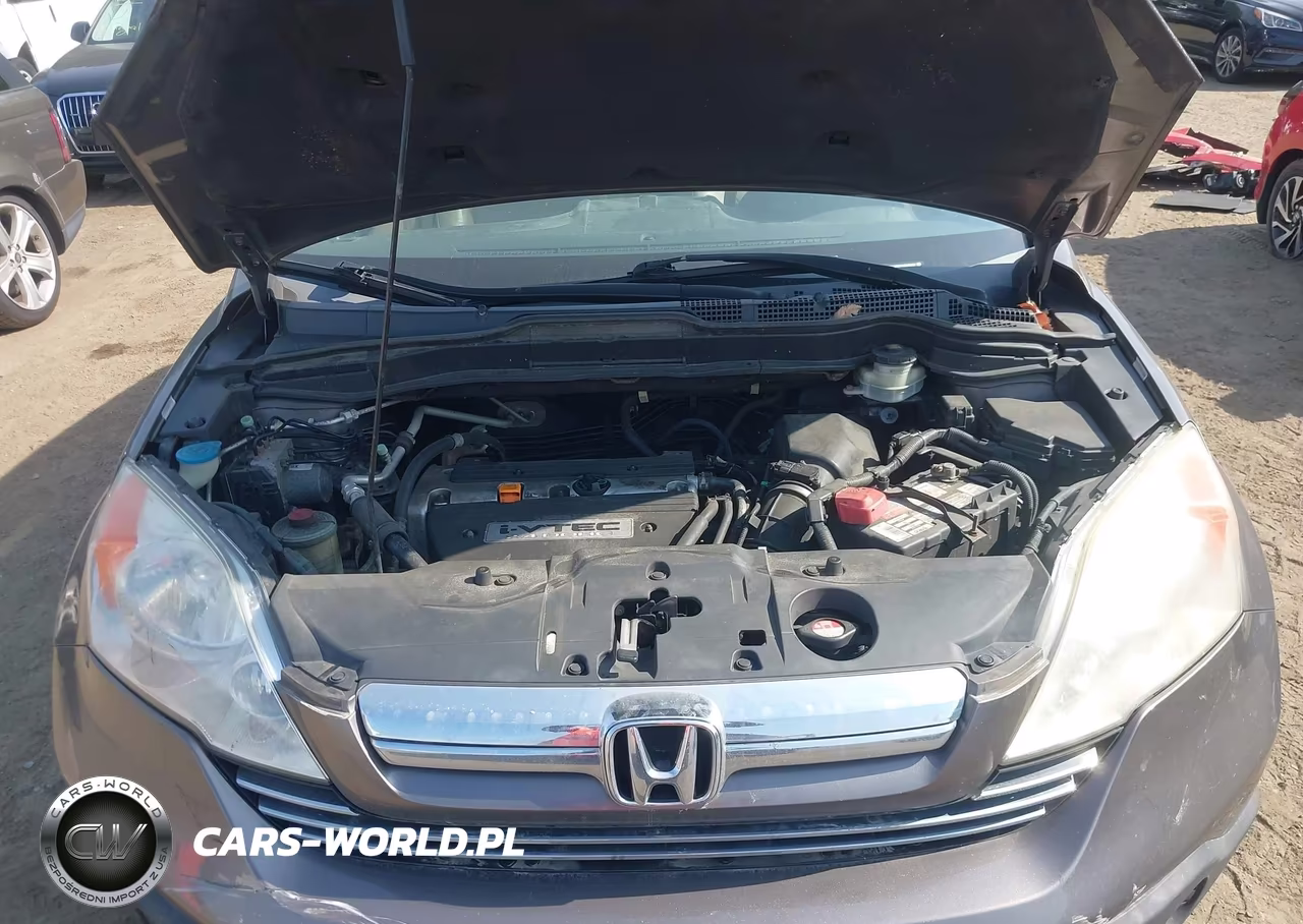 2009 Honda Cr-V Ex-L VIN:5J6RE48749L051573 - 10