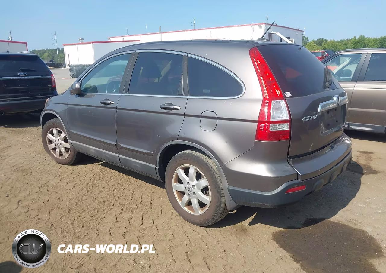 2009 Honda Cr-V Ex-L VIN:5J6RE48749L051573 - 3