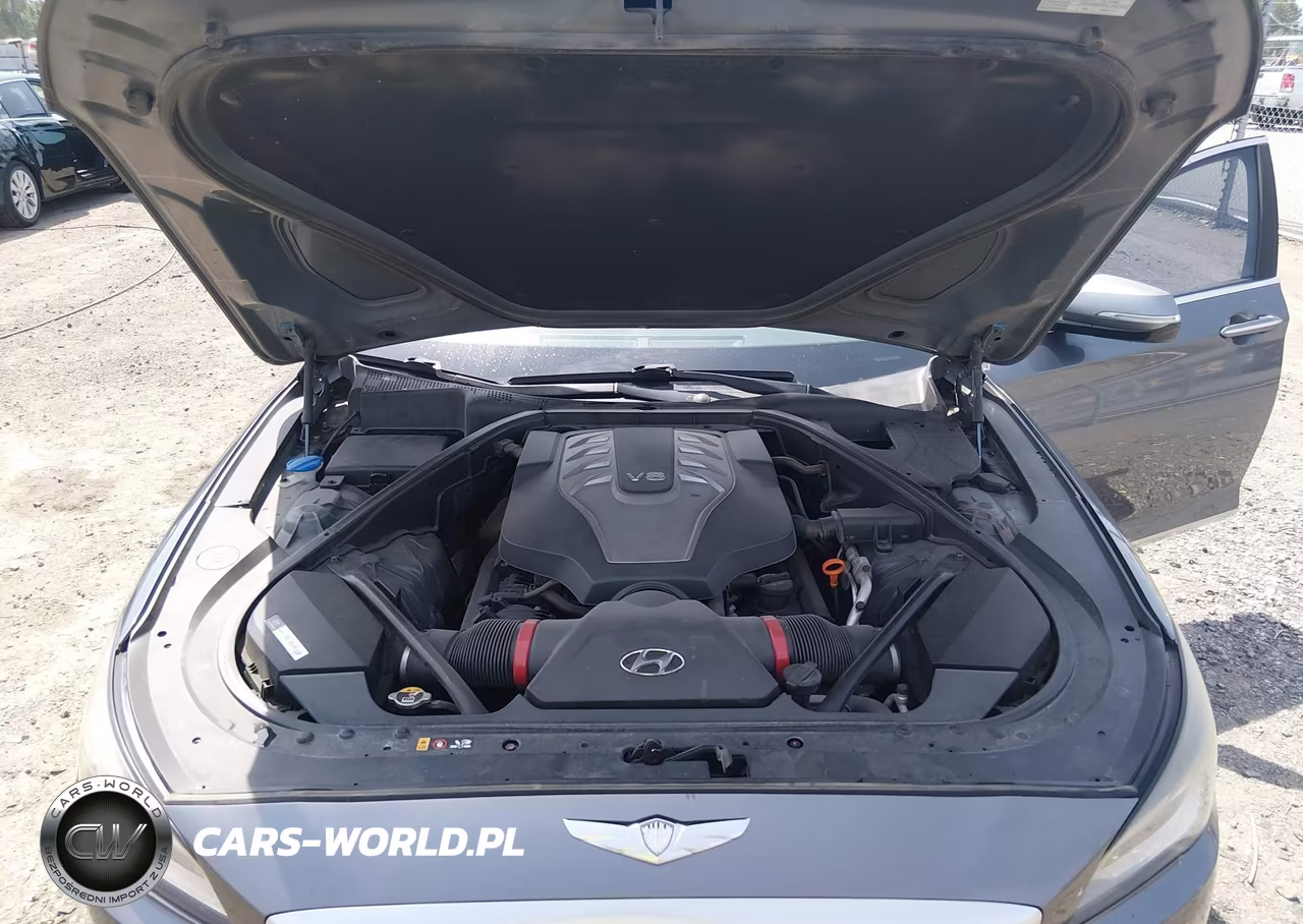 2015 Hyundai Genesis 5.0 VIN:KMHGN4JF6FU072764 - 10