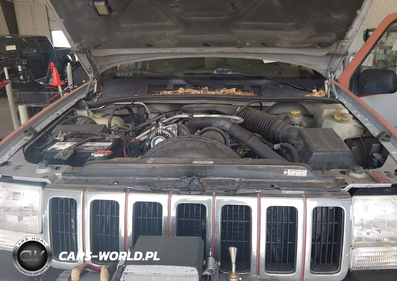 1998 Jeep Grand Cherokee Laredo VIN:1J4GZ48Y1WC253108 - 10