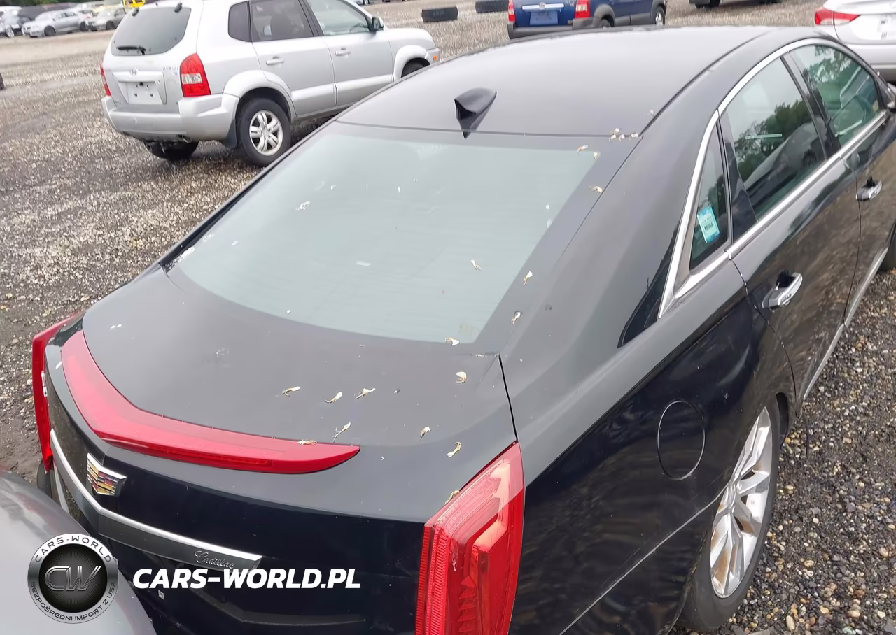 2017 Cadillac Xts Luxury VIN:2G61M5S38H9109985 - 16