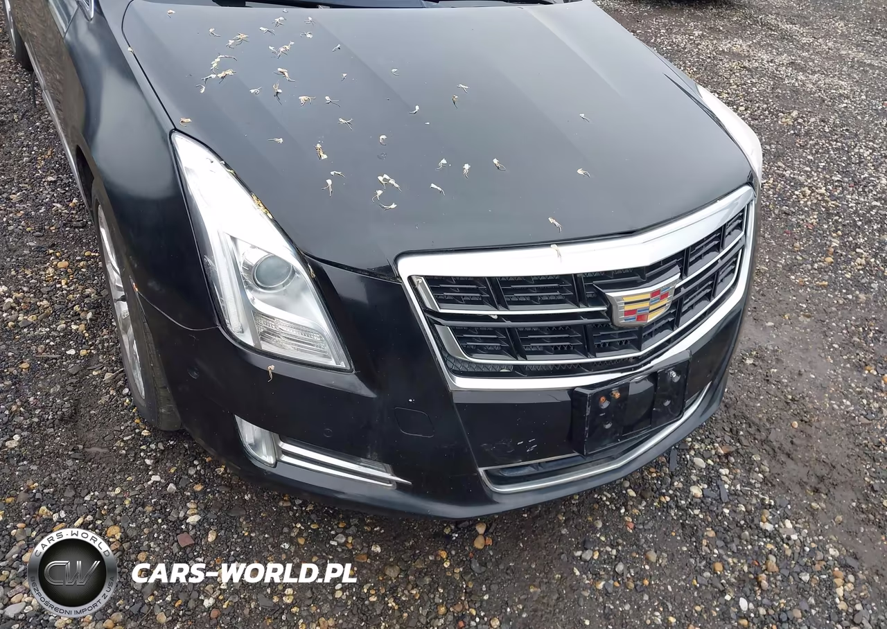 2017 Cadillac Xts Luxury VIN:2G61M5S38H9109985 - 6