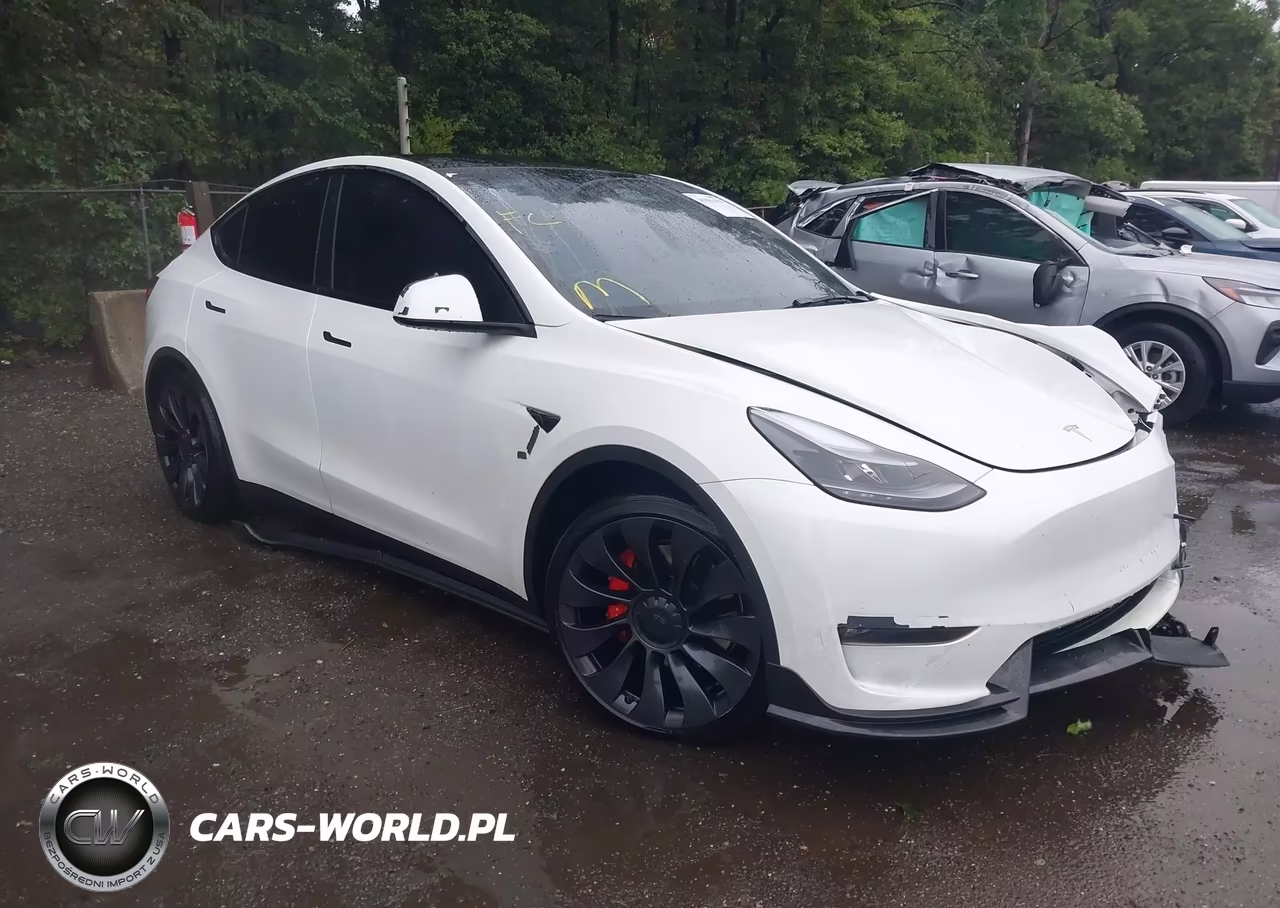 2023 Tesla Model Y Performance Dual Motor All-Wheel Drive