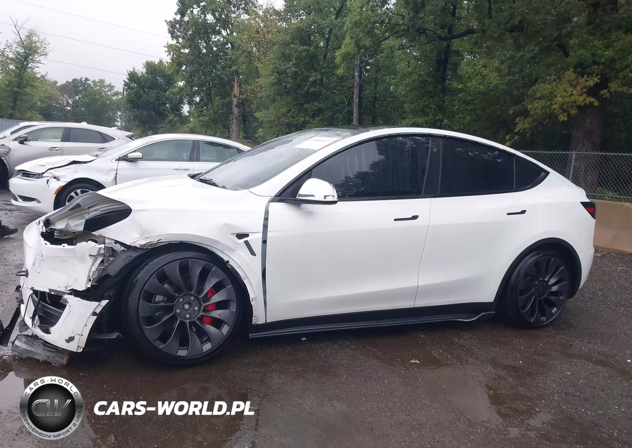 2023 Tesla Model Y Performance Dual Motor All-Wheel Drive VIN:7SAYGDEFXPF708340 - 15