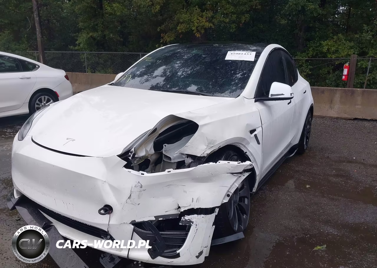 2023 Tesla Model Y Performance Dual Motor All-Wheel Drive VIN:7SAYGDEFXPF708340 - 6