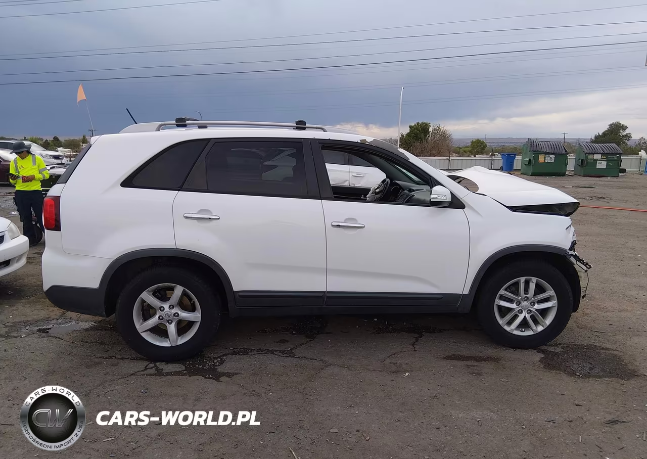 2014 Kia Sorento Lx VIN:5XYKT3A65EG503187 - 13
