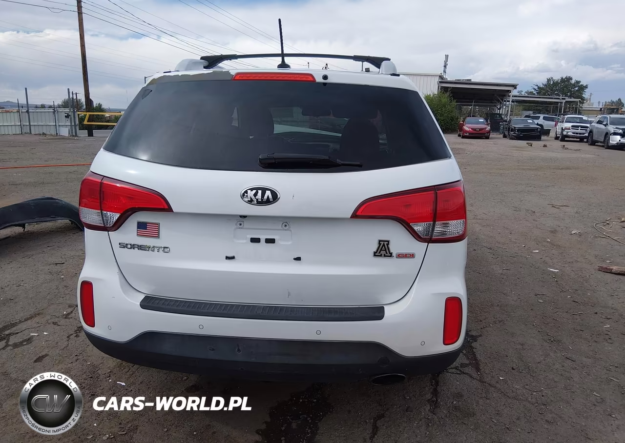 2014 Kia Sorento Lx VIN:5XYKT3A65EG503187 - 16