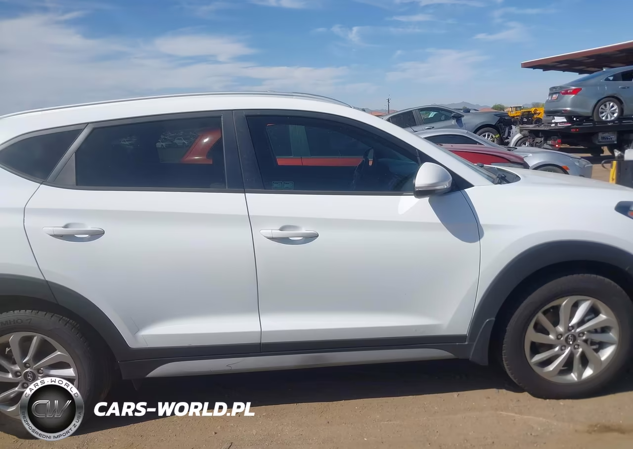 2017 Hyundai Tucson Eco VIN:KM8J33A22HU396414 - 13