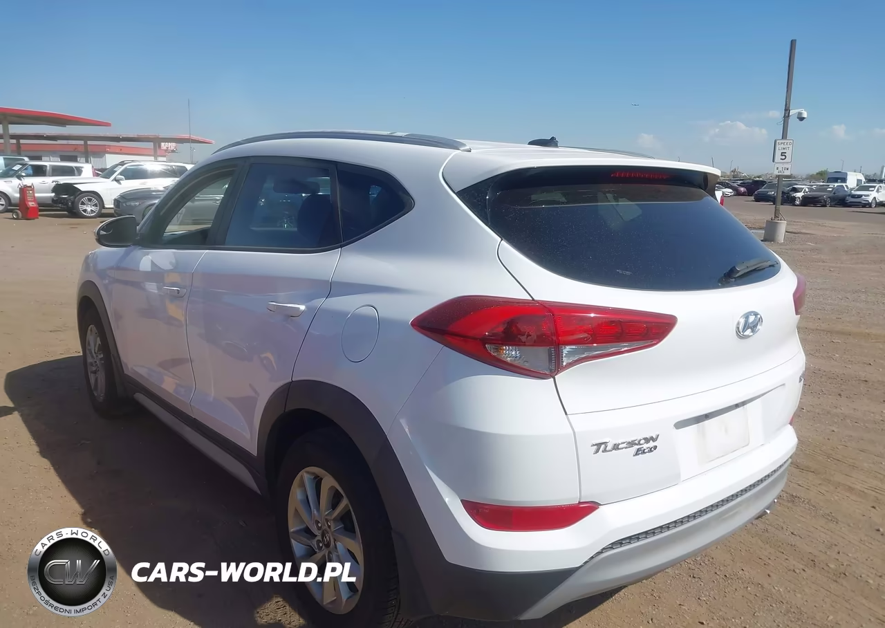 2017 Hyundai Tucson Eco VIN:KM8J33A22HU396414 - 3
