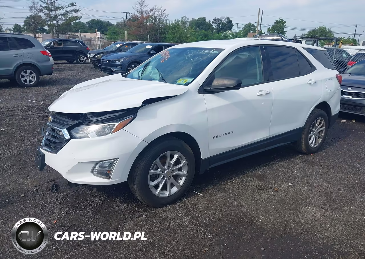 2018 Chevrolet Equinox Ls VIN:2GNAXHEV2J6234806 - 2