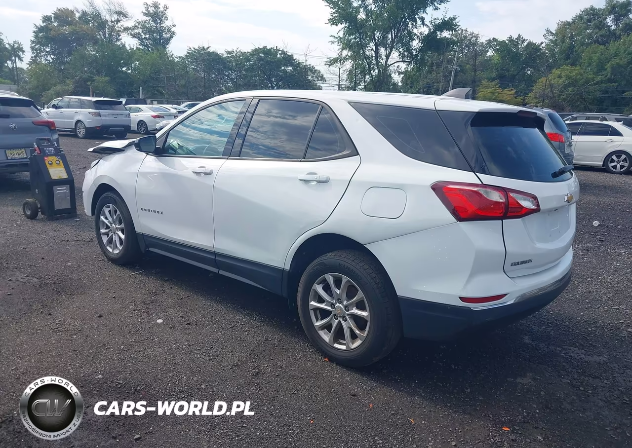 2018 Chevrolet Equinox Ls VIN:2GNAXHEV2J6234806 - 3