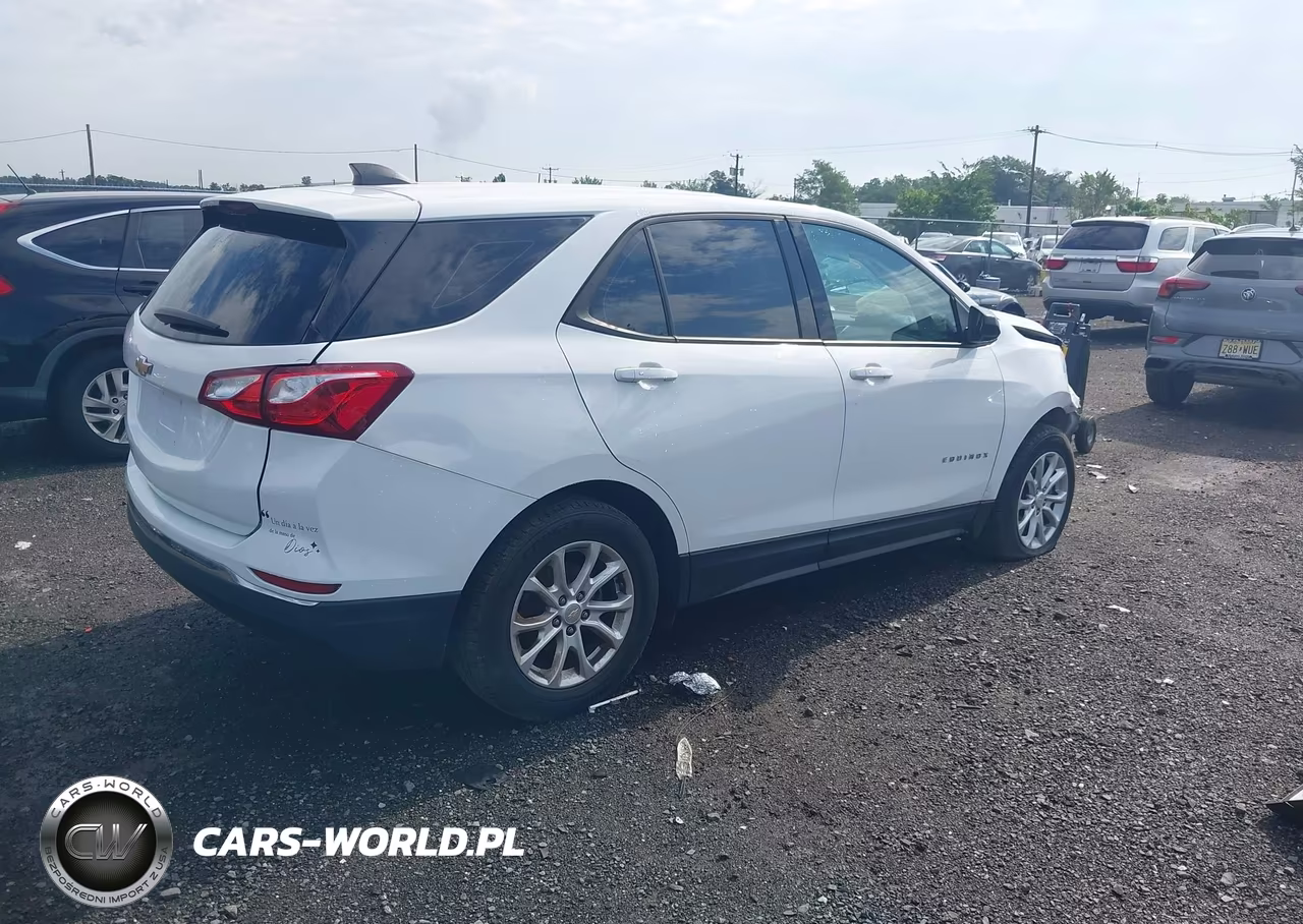 2018 Chevrolet Equinox Ls VIN:2GNAXHEV2J6234806 - 4