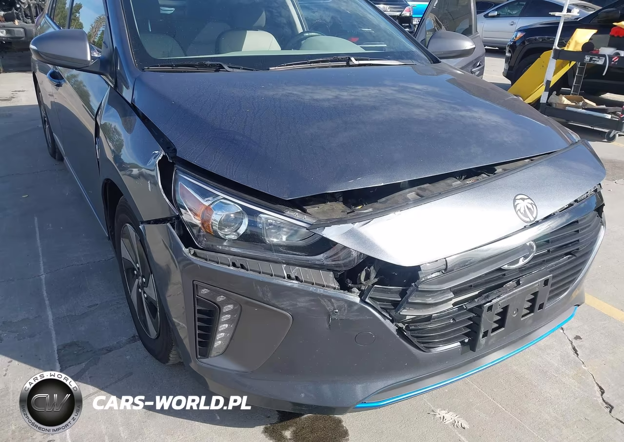2017 Hyundai Ioniq Hybrid Sel VIN:KMHC75LC4HU052193 - 6