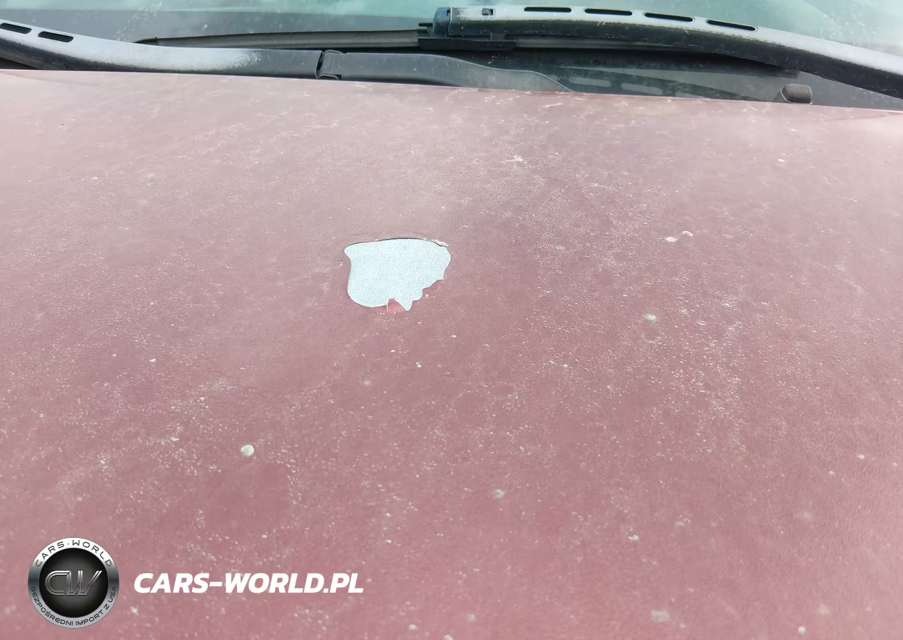 2010 Chevrolet Equinox Lt VIN:2CNALDEW7A6407334 - 13