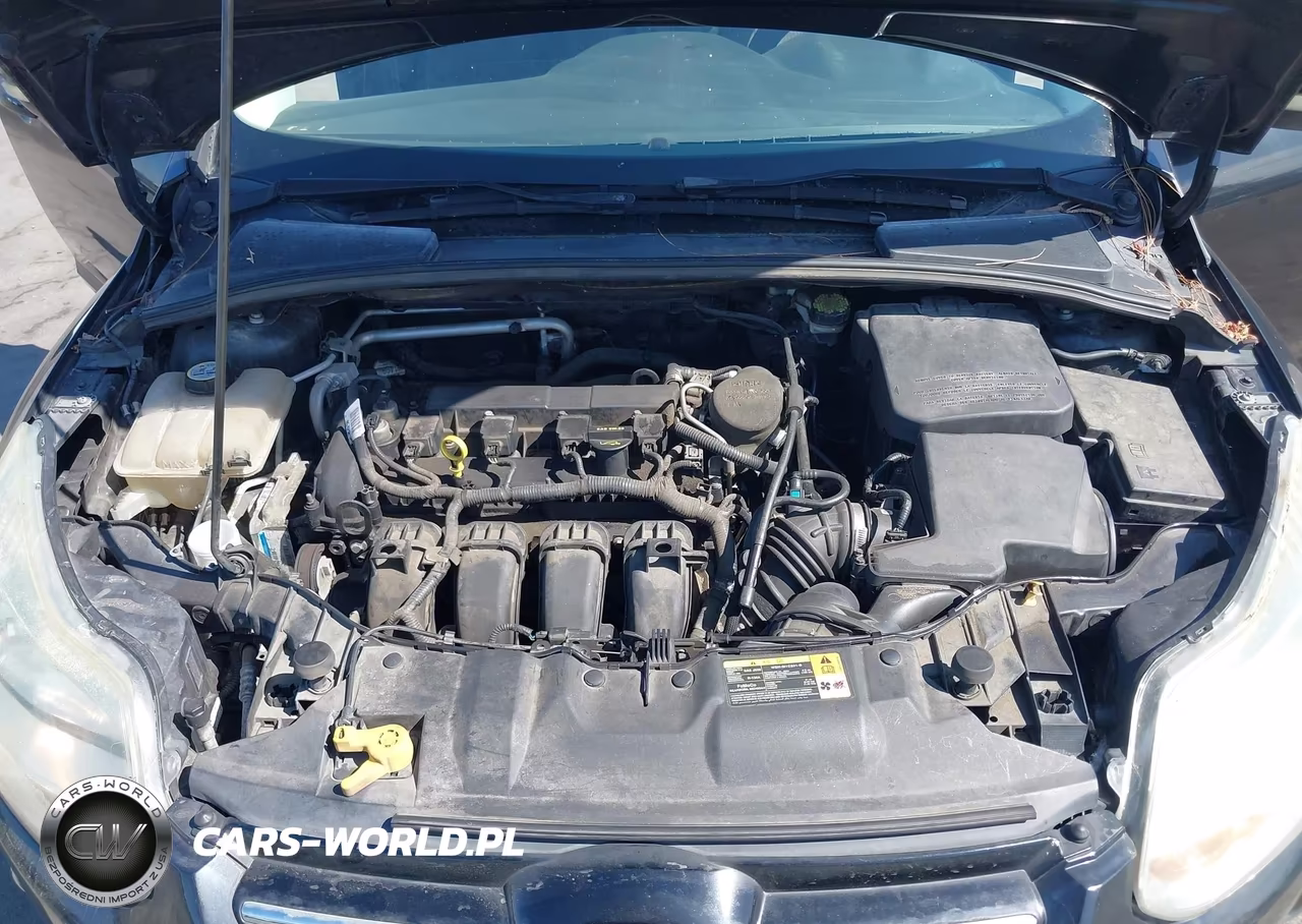 2012 Ford Focus Sel VIN:1FAHP3M2XCL422989 - 10