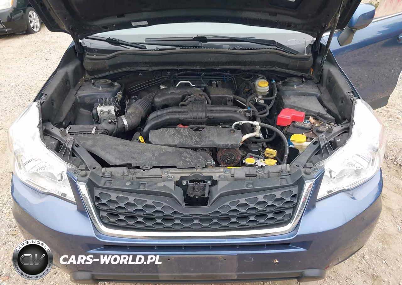 2014 Subaru Forester 2.5I Limited VIN:JF2SJAHC7EH469459 - 10
