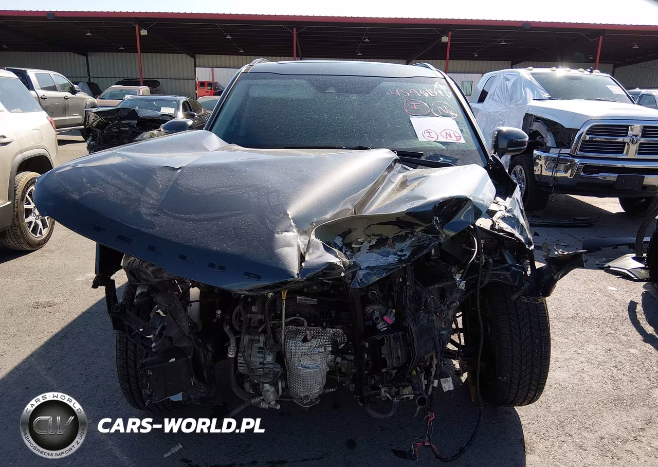 2021 Kia Telluride Ex VIN:5XYP3DHCXMG097509 - 12