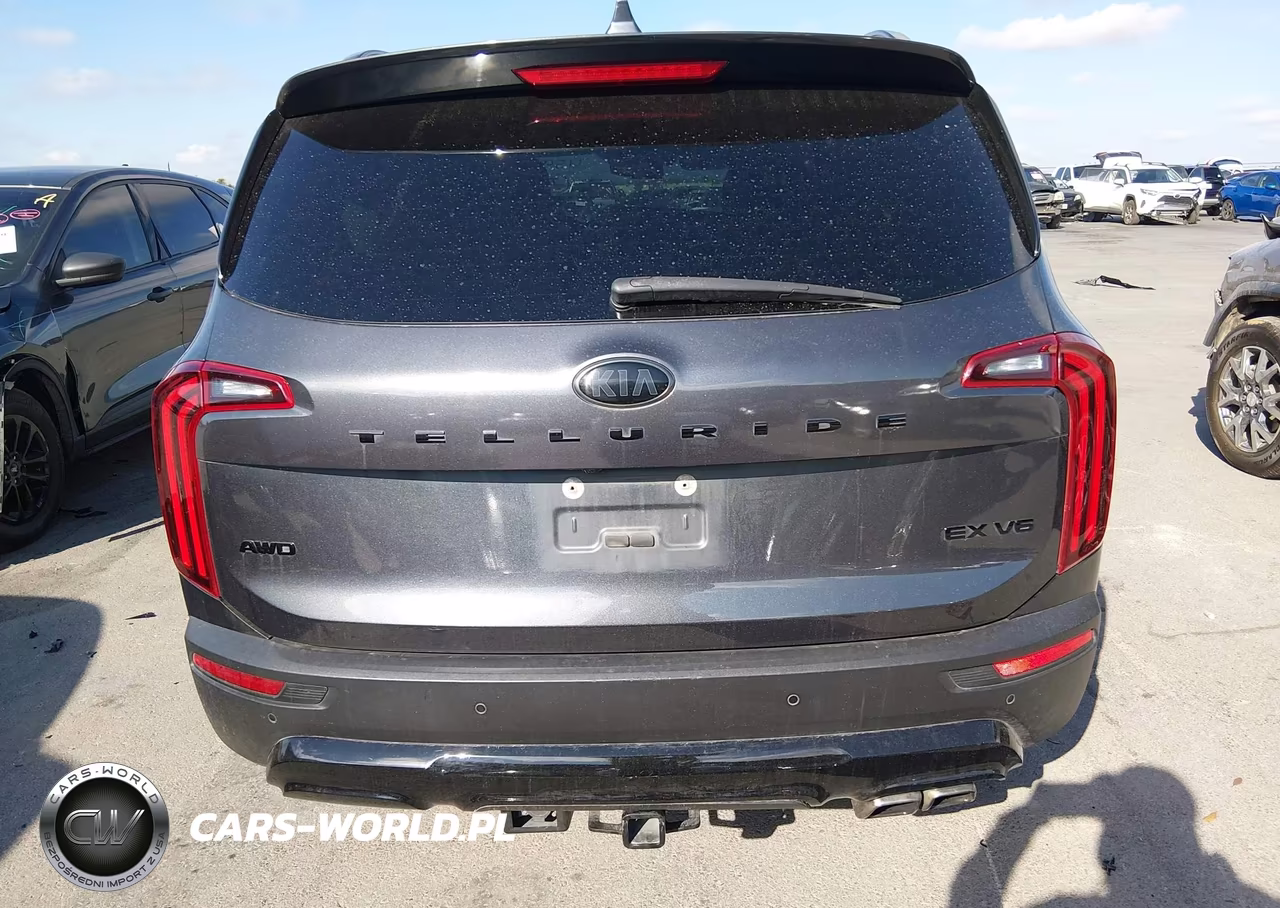 2021 Kia Telluride Ex VIN:5XYP3DHCXMG097509 - 16
