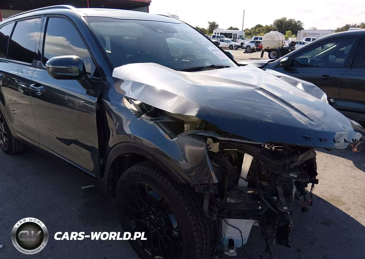 2021 Kia Telluride Ex VIN:5XYP3DHCXMG097509 - 17