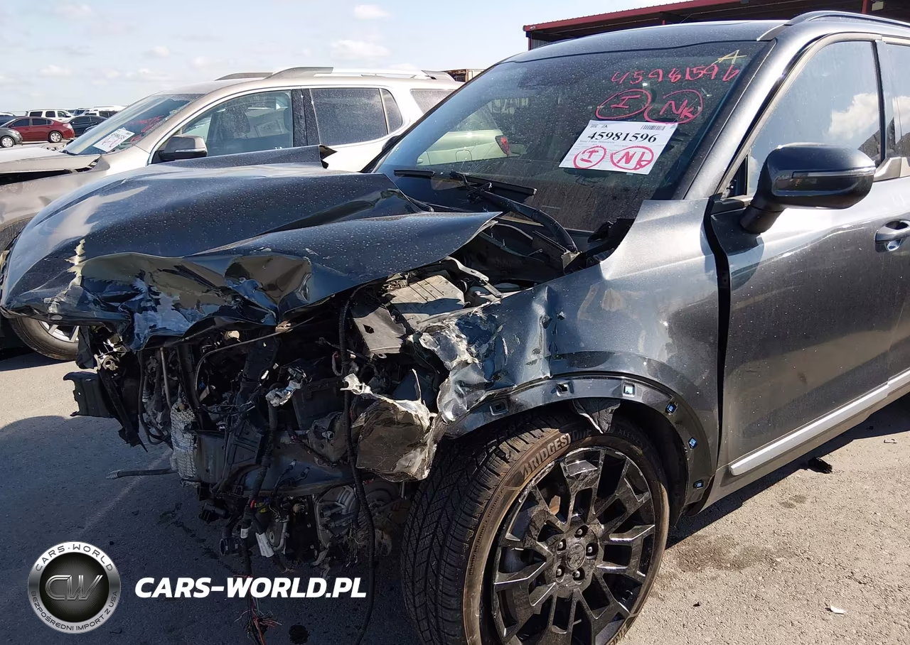 2021 Kia Telluride Ex VIN:5XYP3DHCXMG097509 - 18