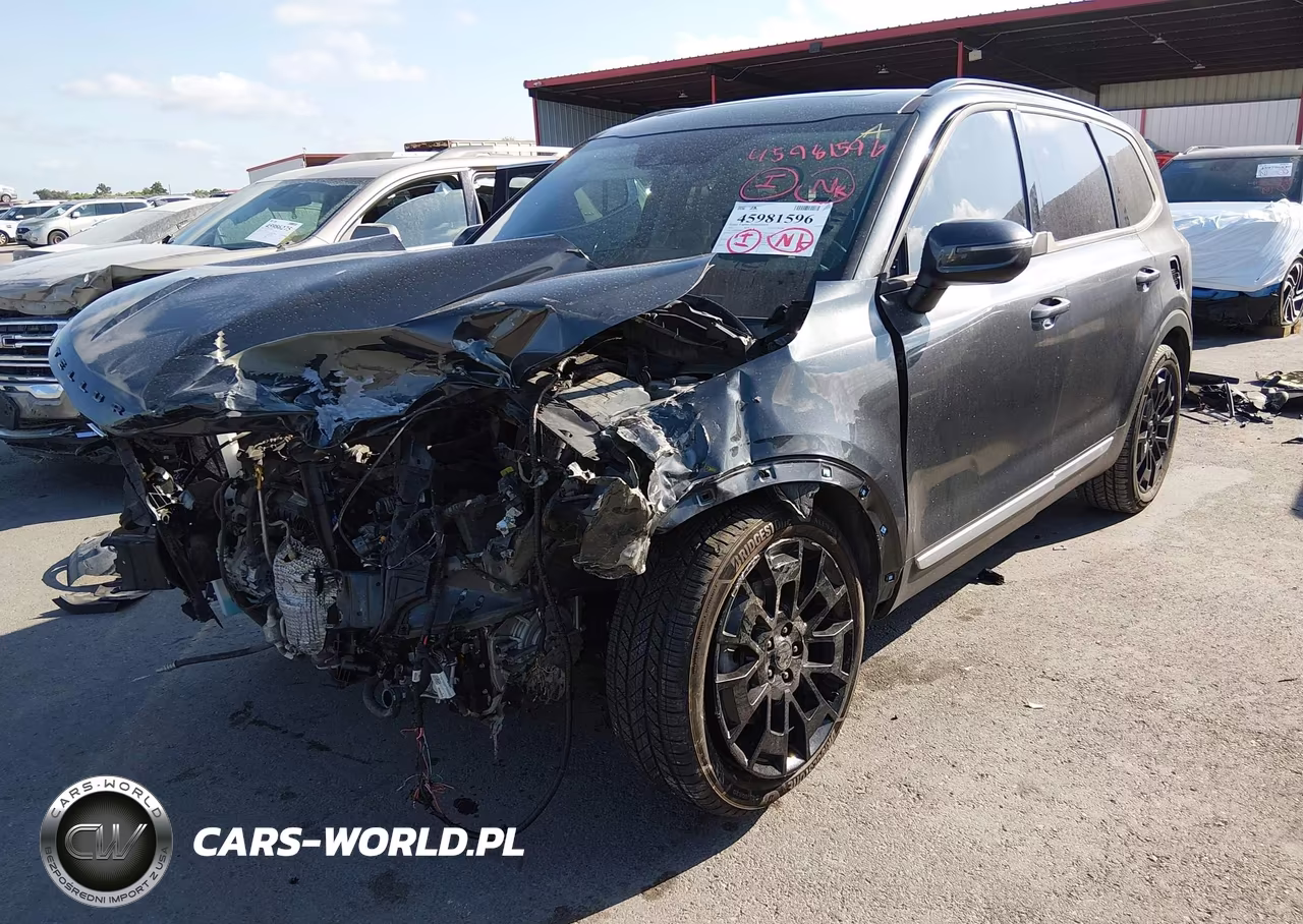 2021 Kia Telluride Ex VIN:5XYP3DHCXMG097509 - 2