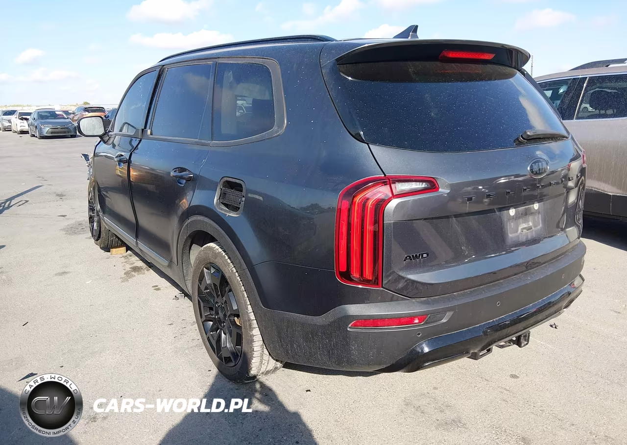2021 Kia Telluride Ex VIN:5XYP3DHCXMG097509 - 3