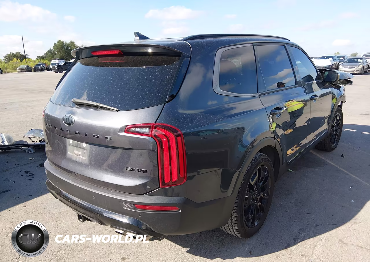 2021 Kia Telluride Ex VIN:5XYP3DHCXMG097509 - 4