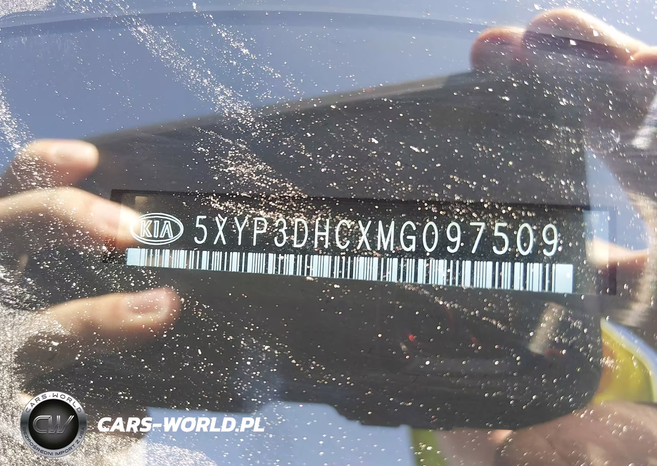 2021 Kia Telluride Ex VIN:5XYP3DHCXMG097509 - 9