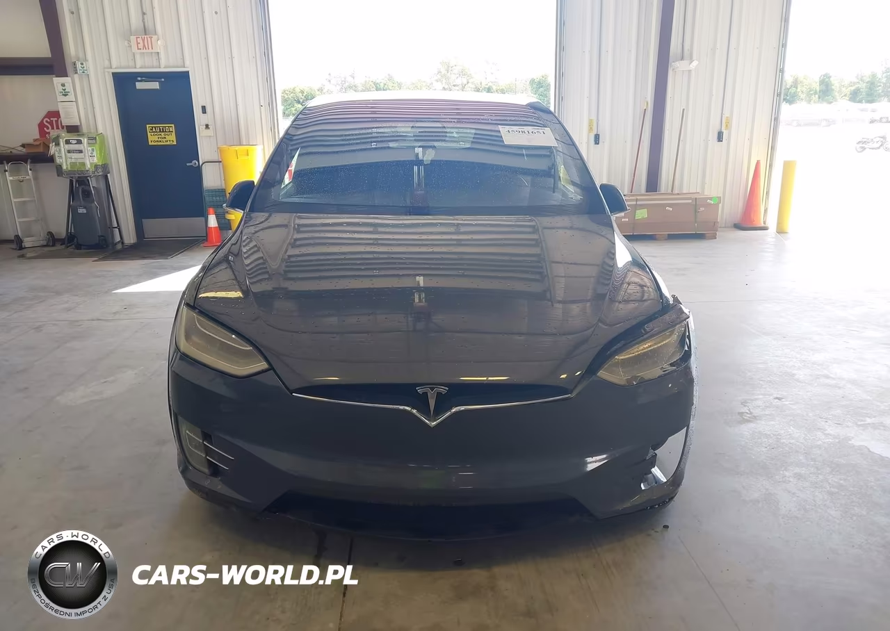 2017 Tesla Model X VIN:5YJXCAE25HF061024 - 10