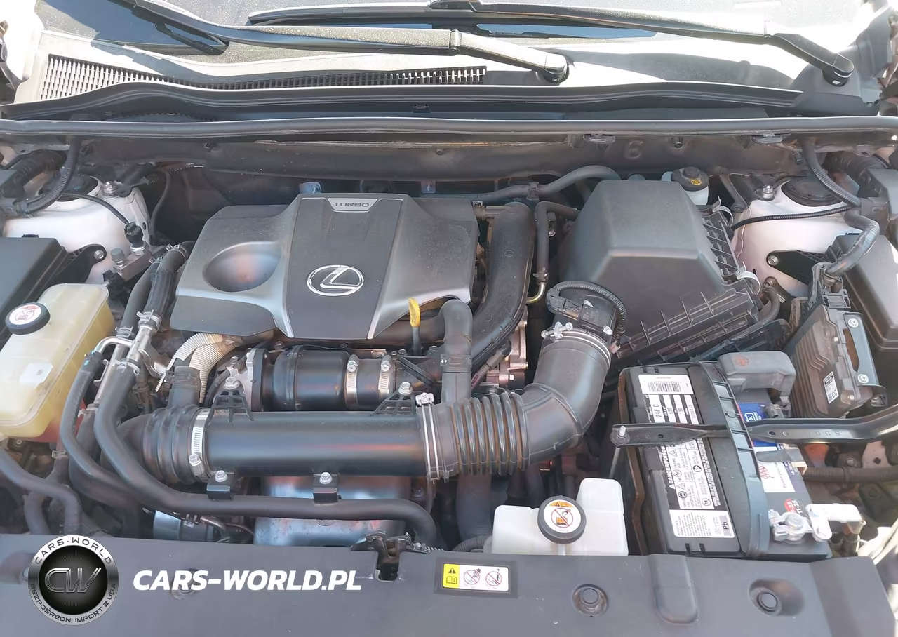 2019 Lexus Nx 300 VIN:JTJYARBZ1K2145231 - 10