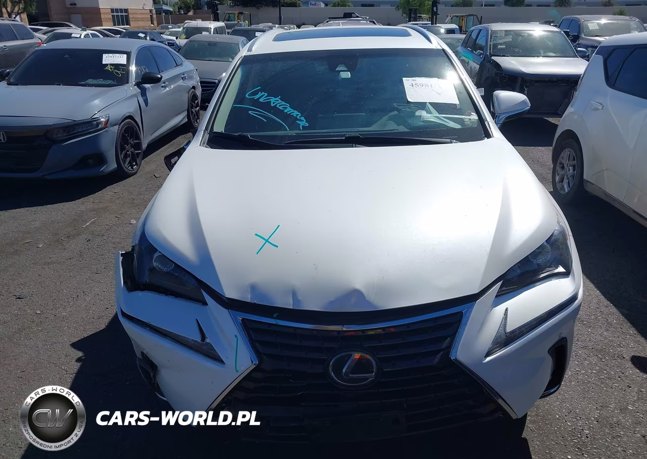 2019 Lexus Nx 300 VIN:JTJYARBZ1K2145231 - 12